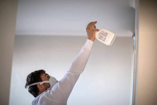 Best Residential Mold Removal  in Texas City, TX