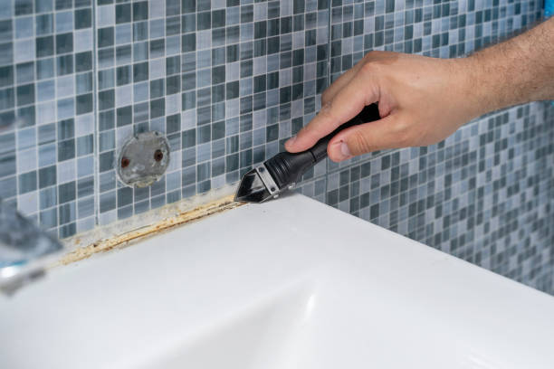 Best Best Mold Removal Companies  in Texas City, TX